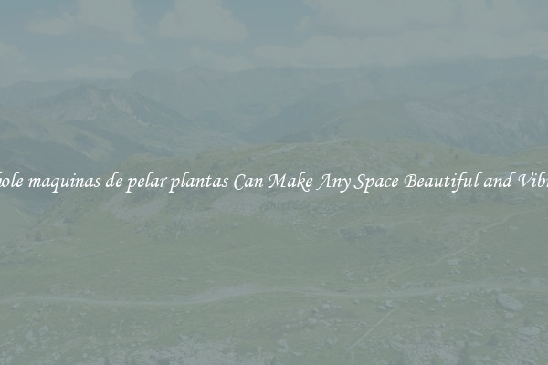 Whole maquinas de pelar plantas Can Make Any Space Beautiful and Vibrant