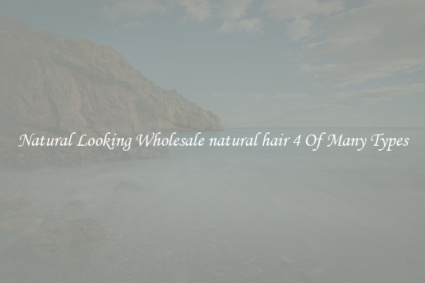 Natural Looking Wholesale natural hair 4 Of Many Types