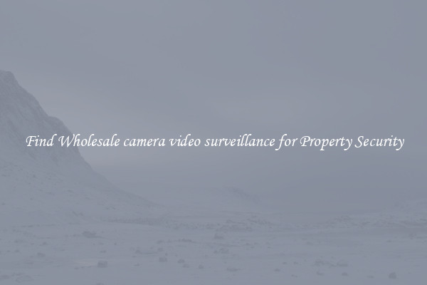 Find Wholesale camera video surveillance for Property Security