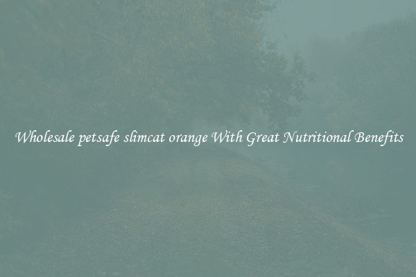 Wholesale petsafe slimcat orange With Great Nutritional Benefits
