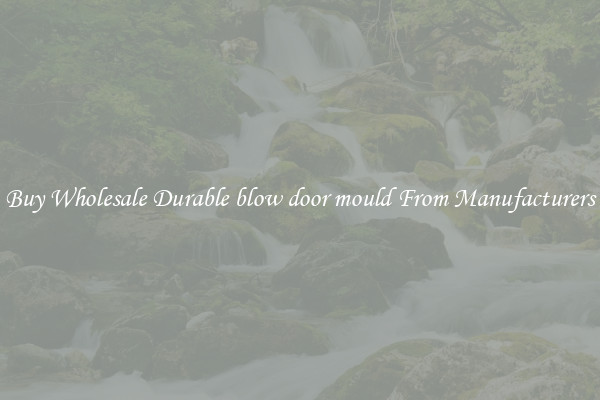 Buy Wholesale Durable blow door mould From Manufacturers
