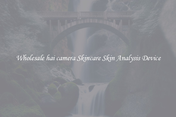 Wholesale hai camera Skincare Skin Analysis Device