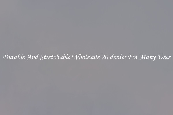 Durable And Stretchable Wholesale 20 denier For Many Uses