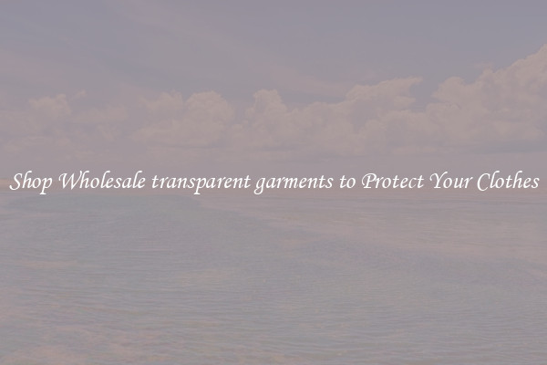 Shop Wholesale transparent garments to Protect Your Clothes
