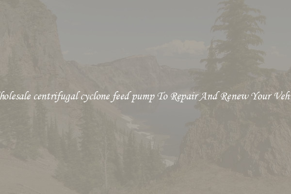Wholesale centrifugal cyclone feed pump To Repair And Renew Your Vehicle