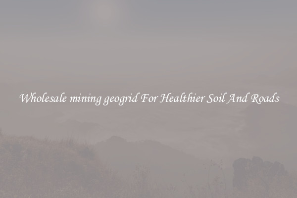 Wholesale mining geogrid For Healthier Soil And Roads