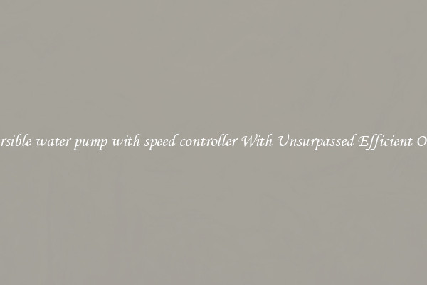 submersible water pump with speed controller With Unsurpassed Efficient Outputs