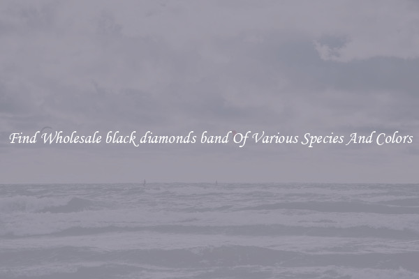 Find Wholesale black diamonds band Of Various Species And Colors