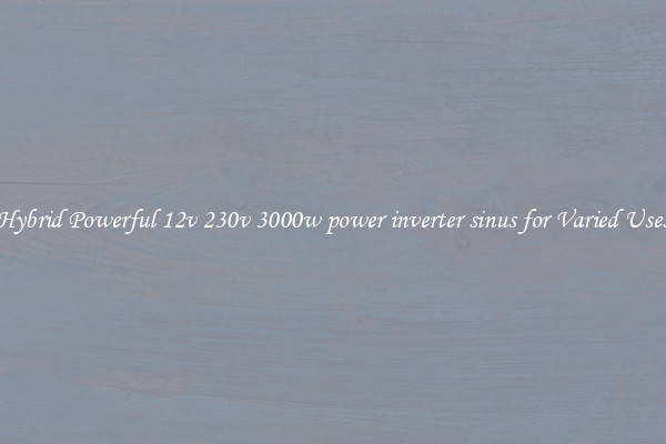 Hybrid Powerful 12v 230v 3000w power inverter sinus for Varied Uses