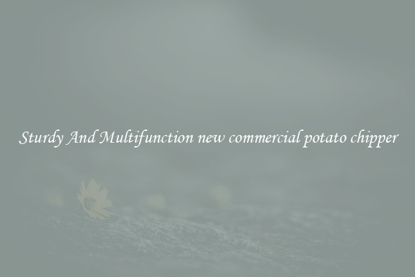 Sturdy And Multifunction new commercial potato chipper