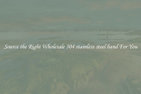 Source the Right Wholesale 304 stainless steel band For You